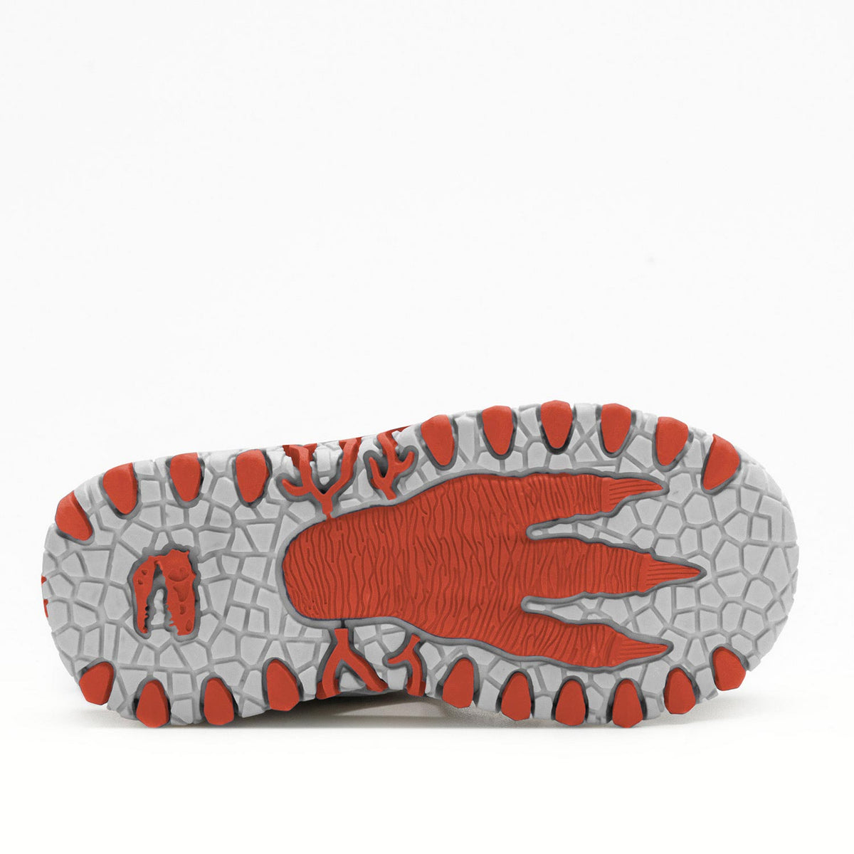 Lelli Kelly Bull Boys Dino Sandals Dncl3144 Red Footwear EU 26 / Red,EU 27 / Red,EU 28 / Red,EU 29 / Red,EU 30 / Red,EU 31 / Red,EU 32 / Red,EU 33 / Red