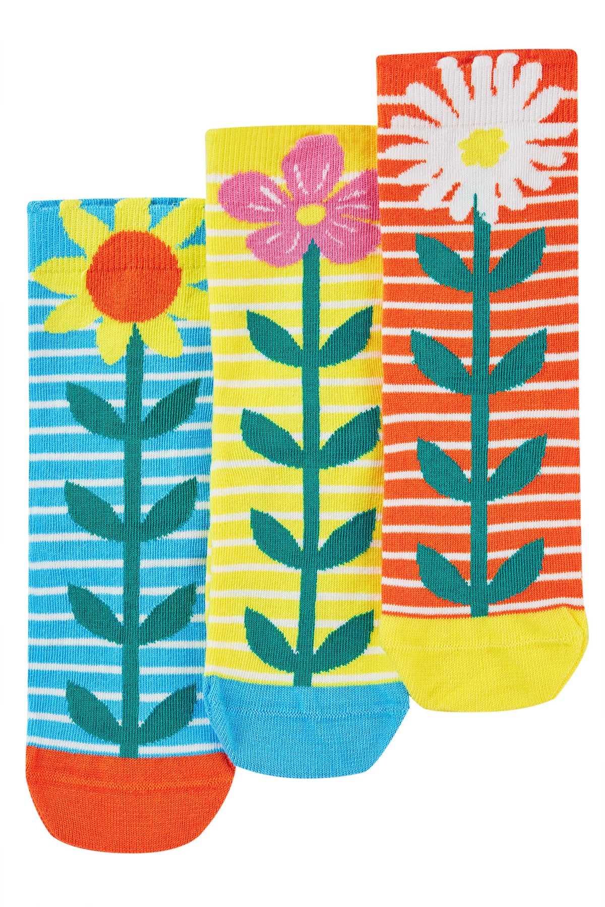 Frugi 3 Pack Socks Me9z5 Echinacea Clothing UK3-5 ADULT / Multi,UK6-8 / Multi,UK9-12 / Multi,UK13-2 / Multi