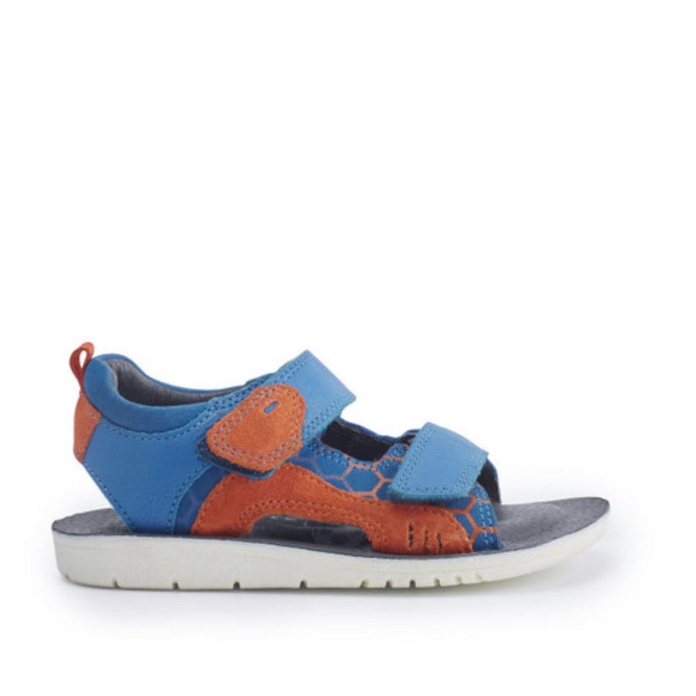 Startrite Beachball Sandal Cobalt Orange Footwear UK7 INFANT / Cobalt Blue,UK7.5 INFANT / Cobalt Blue,UK8.5 INFANT / Cobalt Blue,UK9 KIDS / Cobalt Blue,UK10 KIDS / Cobalt Blue,UK11 KIDS / Cobalt Blue,UK11.5 KIDS / Cobalt Blue,UK12.5 KIDS / Cobalt Blue,UK13 KIDS / Cobalt Blue